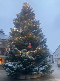Weihnachtsbaum auf dem Marktplatz